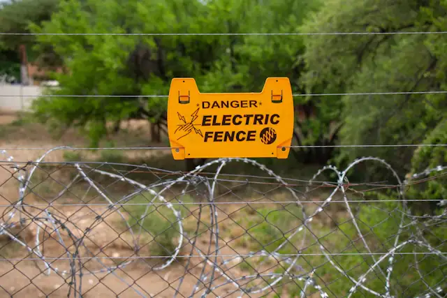 Electric fence with razor wire