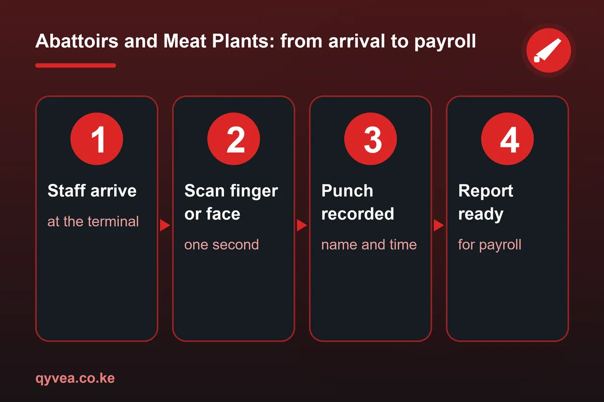Abattoirs and Meat Plants: how it works, step by step
