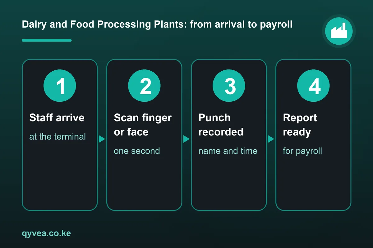 Dairy and Food Processing Plants: how it works, step by step