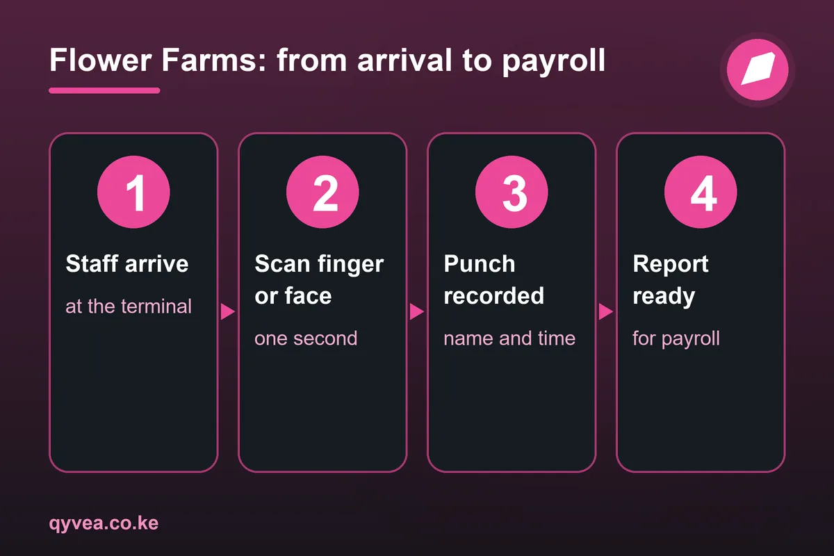 Flower Farms: how it works, step by step