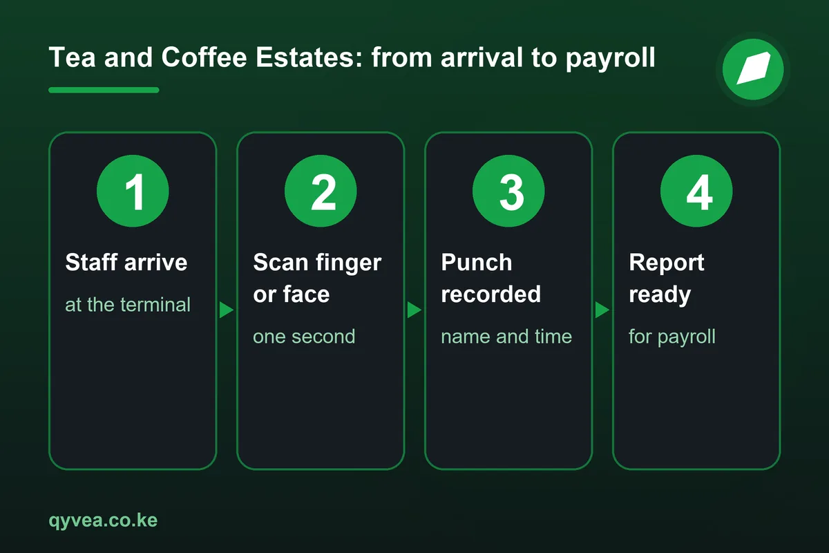 Tea and Coffee Estates: how it works, step by step